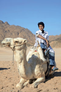 egypt-6602