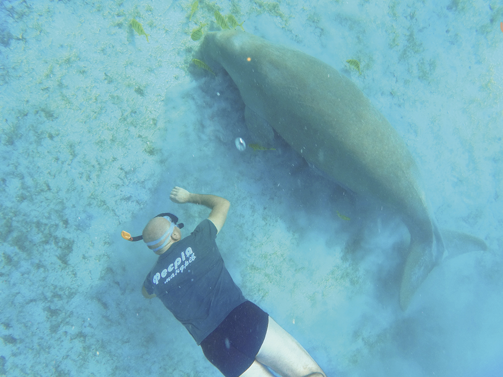 DCIM100GOPROGOPR1132.