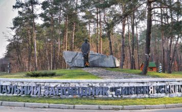 Ліс на крові…